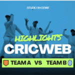 CricWeb live cricket streaming website showing HD match options