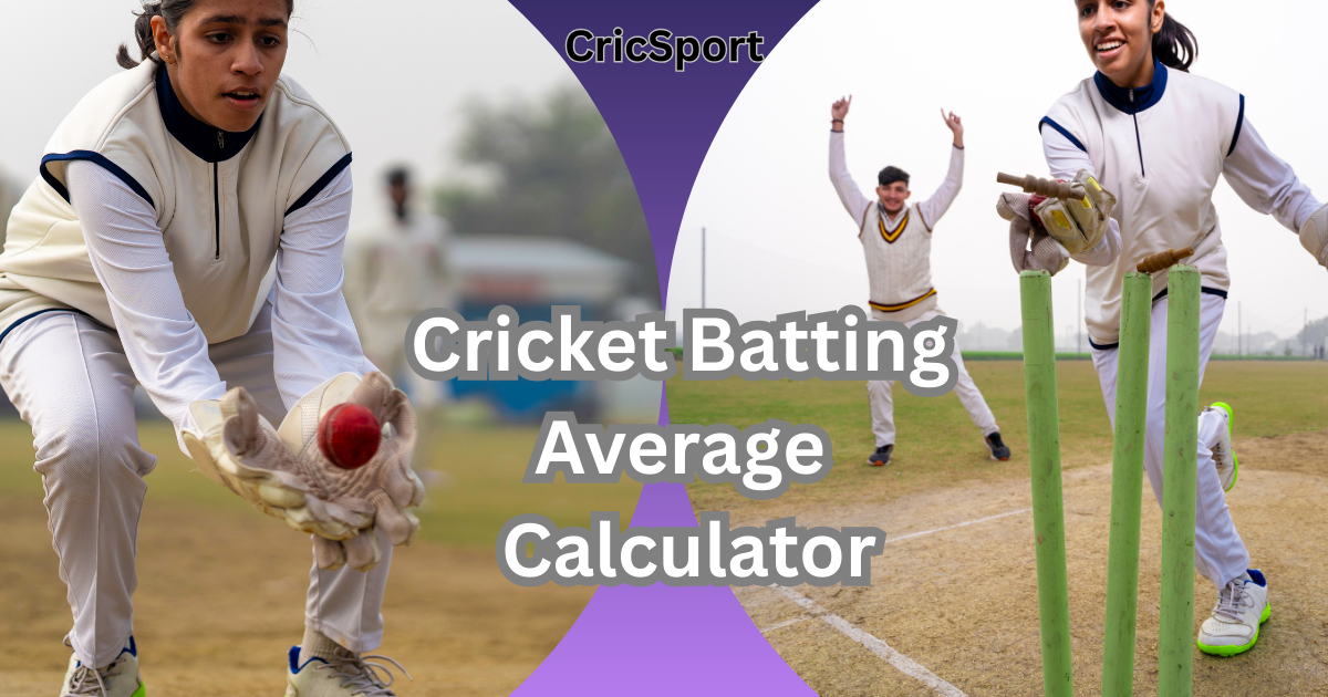 Cricket Batting Average Calculator displaying runs, innings, and not-outs for accurate average calculation